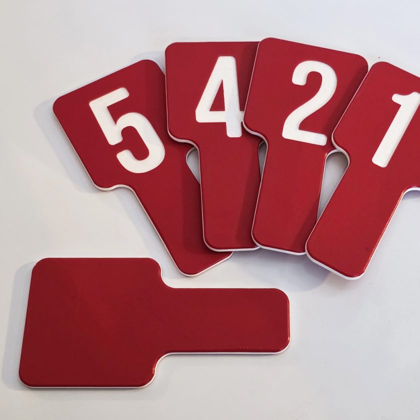 Scoring Paddles (1 Table) - Image 2